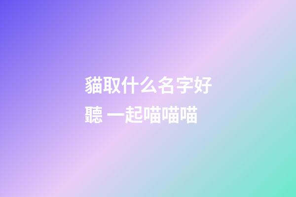 貓取什么名字好聽 一起喵喵喵